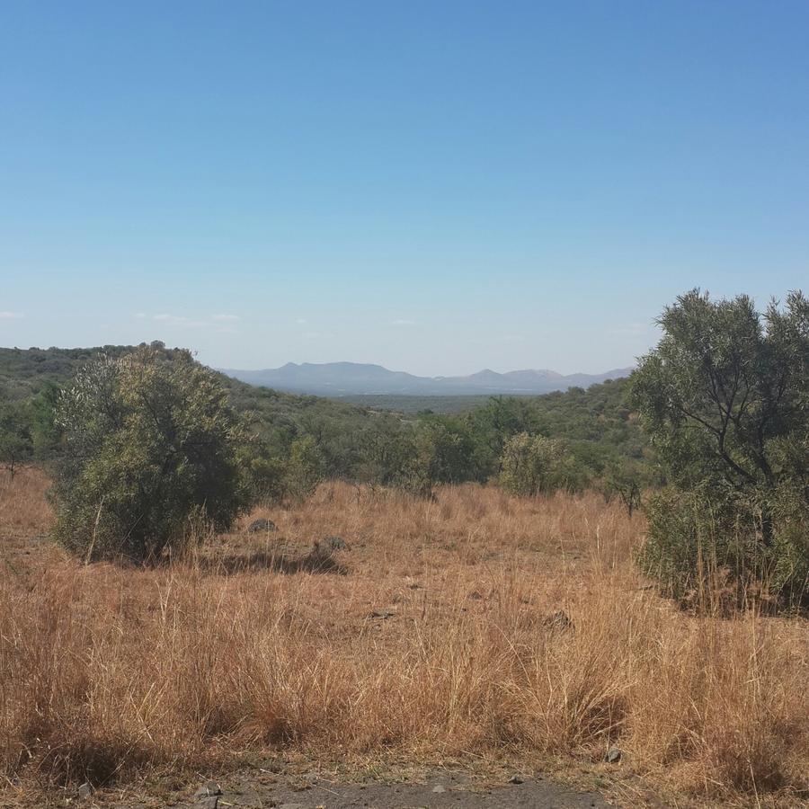 Kareekloof Game Farm Villa Derby ภายนอก รูปภาพ
